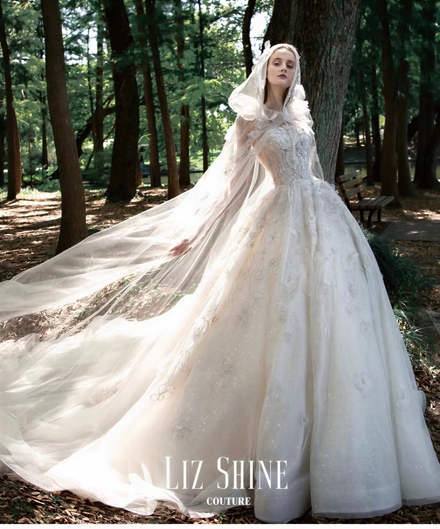LIZ SHINE gown
